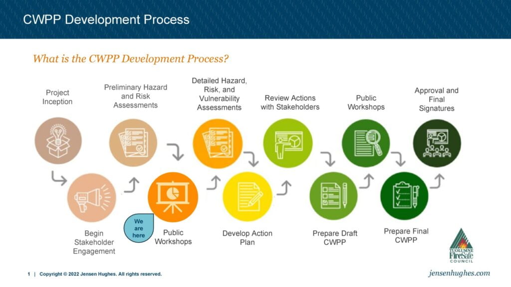 CWPP Development Process